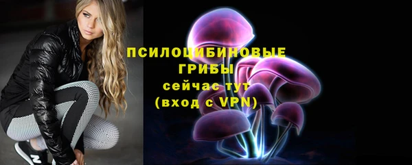 ECSTASY Алексин